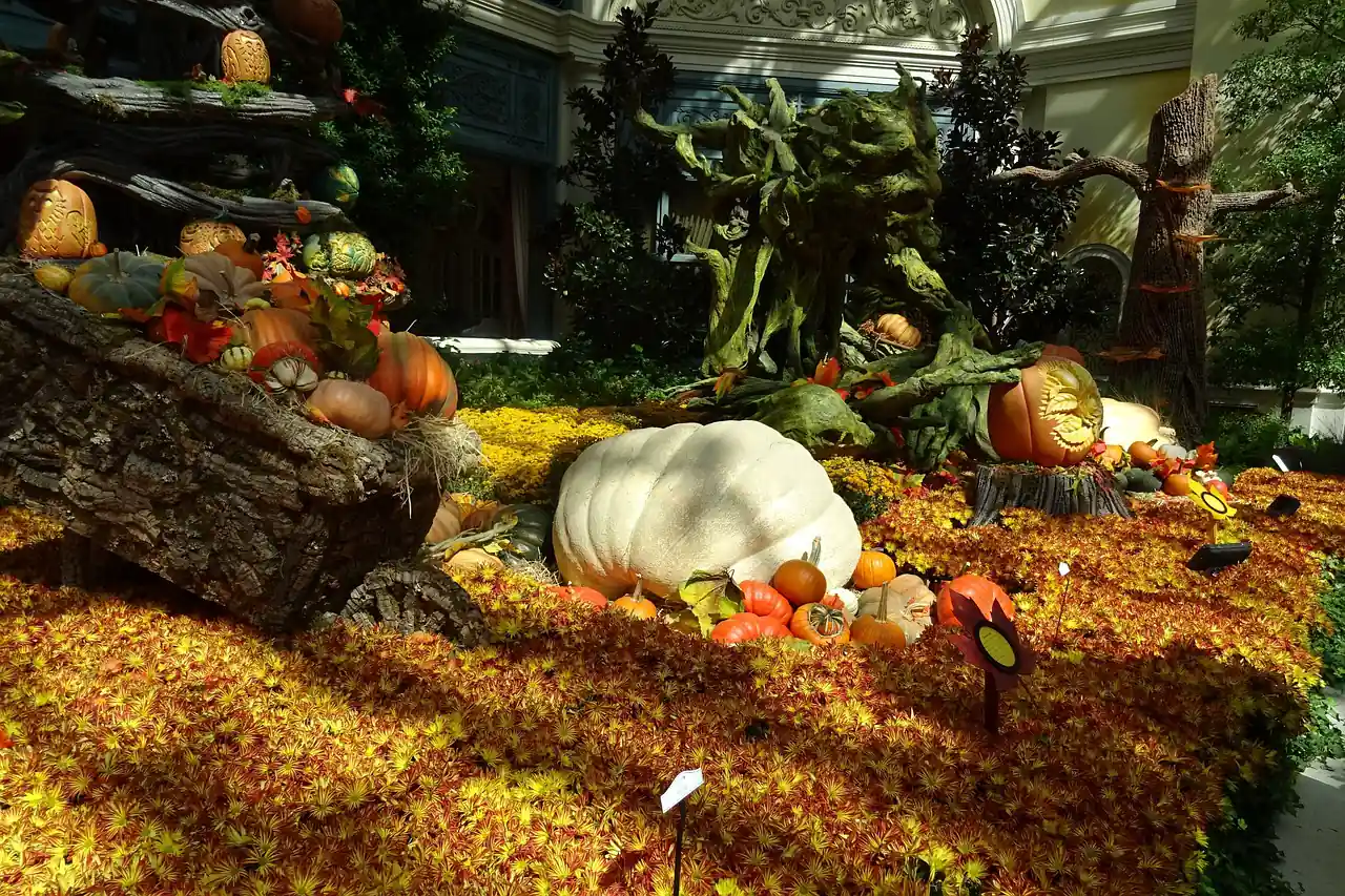 Spinbit casino environment